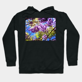 Wisteria in the Summer Hoodie